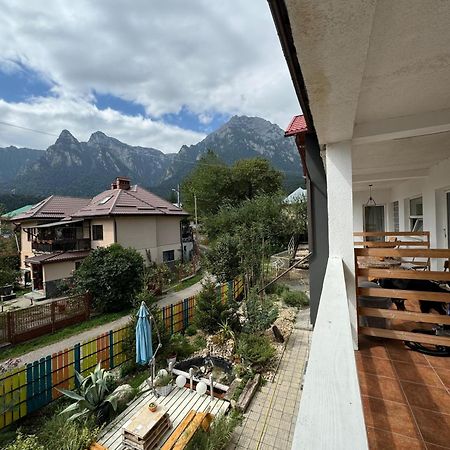 Casa David Hotel Busteni Luaran gambar