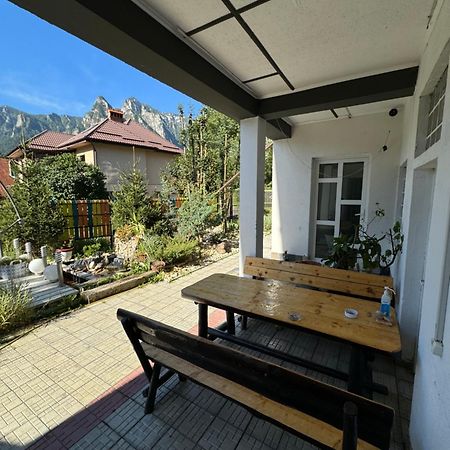 Casa David Hotel Busteni Luaran gambar
