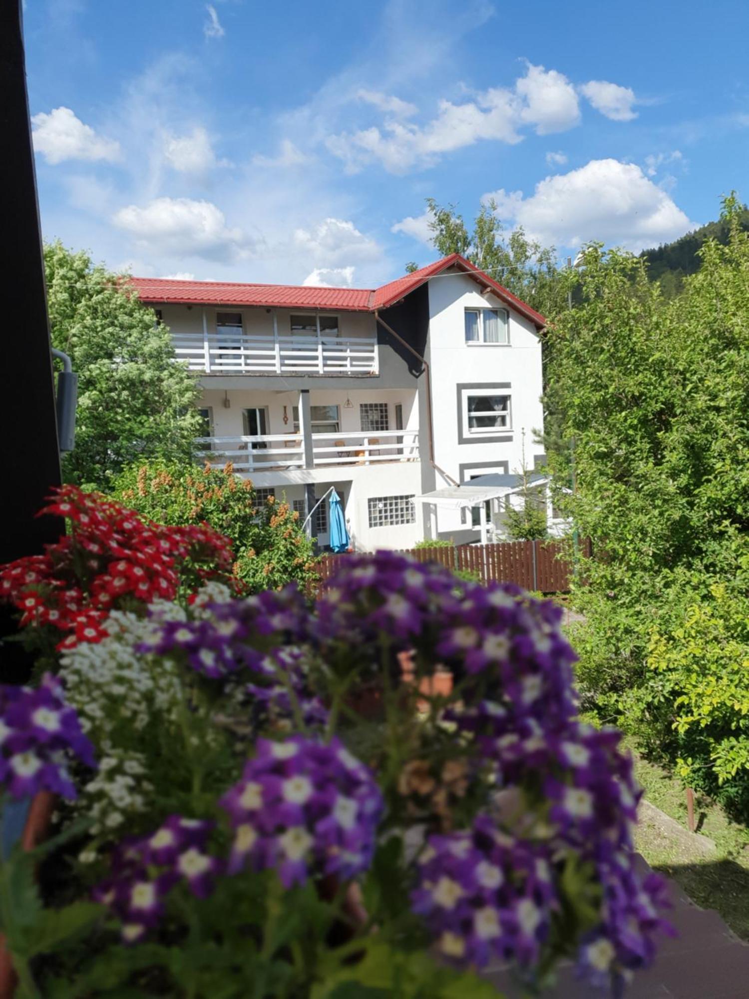 Casa David Hotel Busteni Luaran gambar