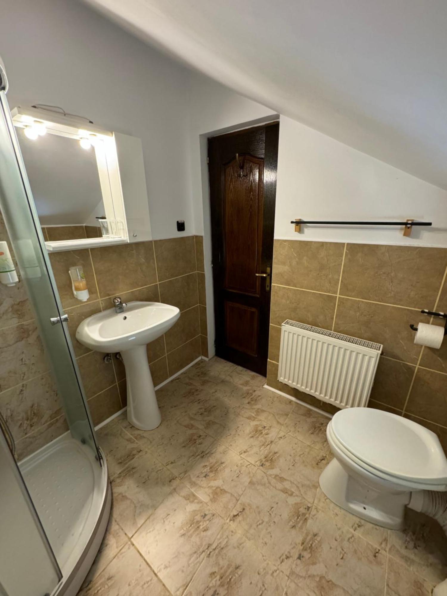 Casa David Hotel Busteni Luaran gambar