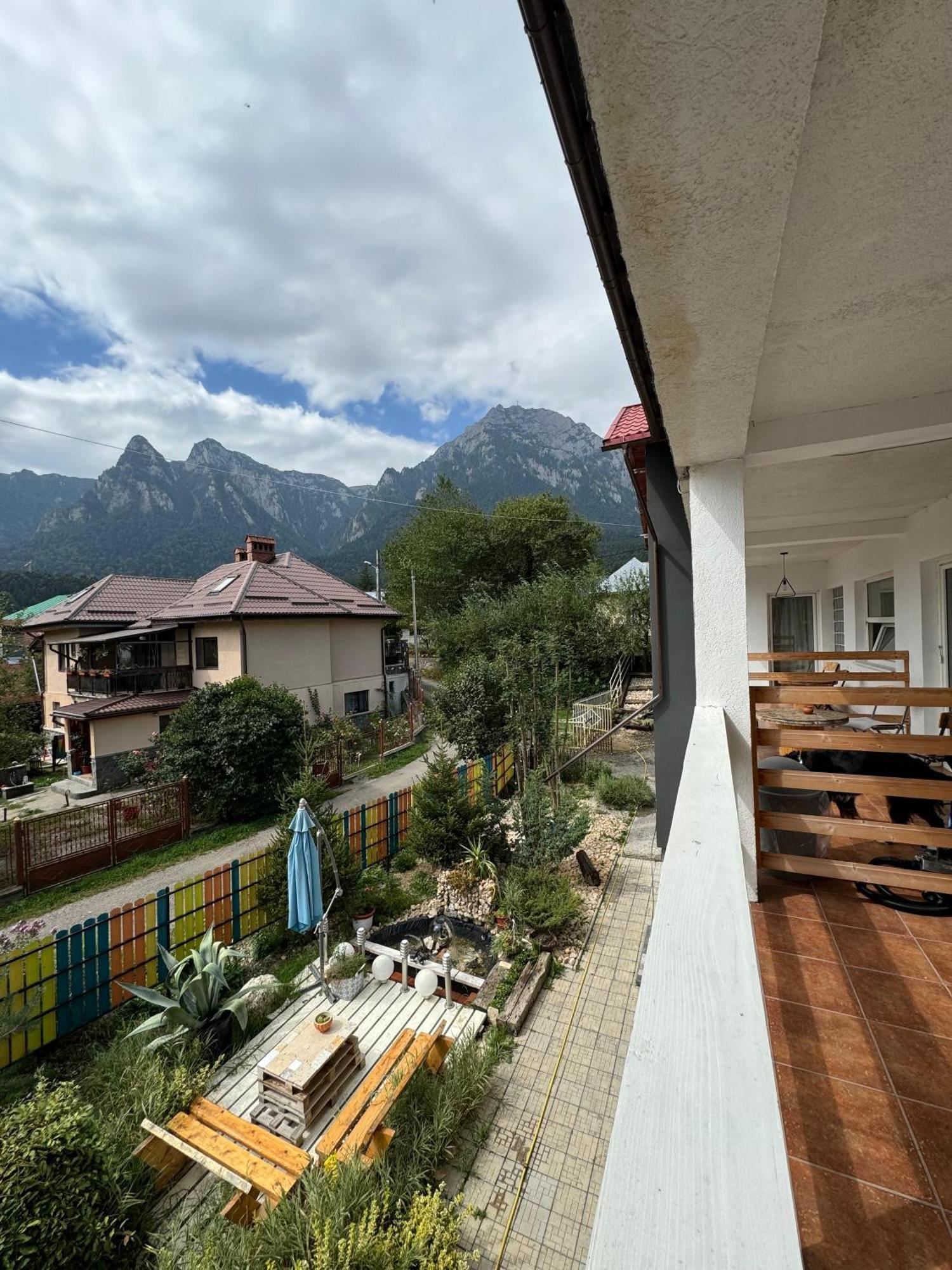 Casa David Hotel Busteni Luaran gambar