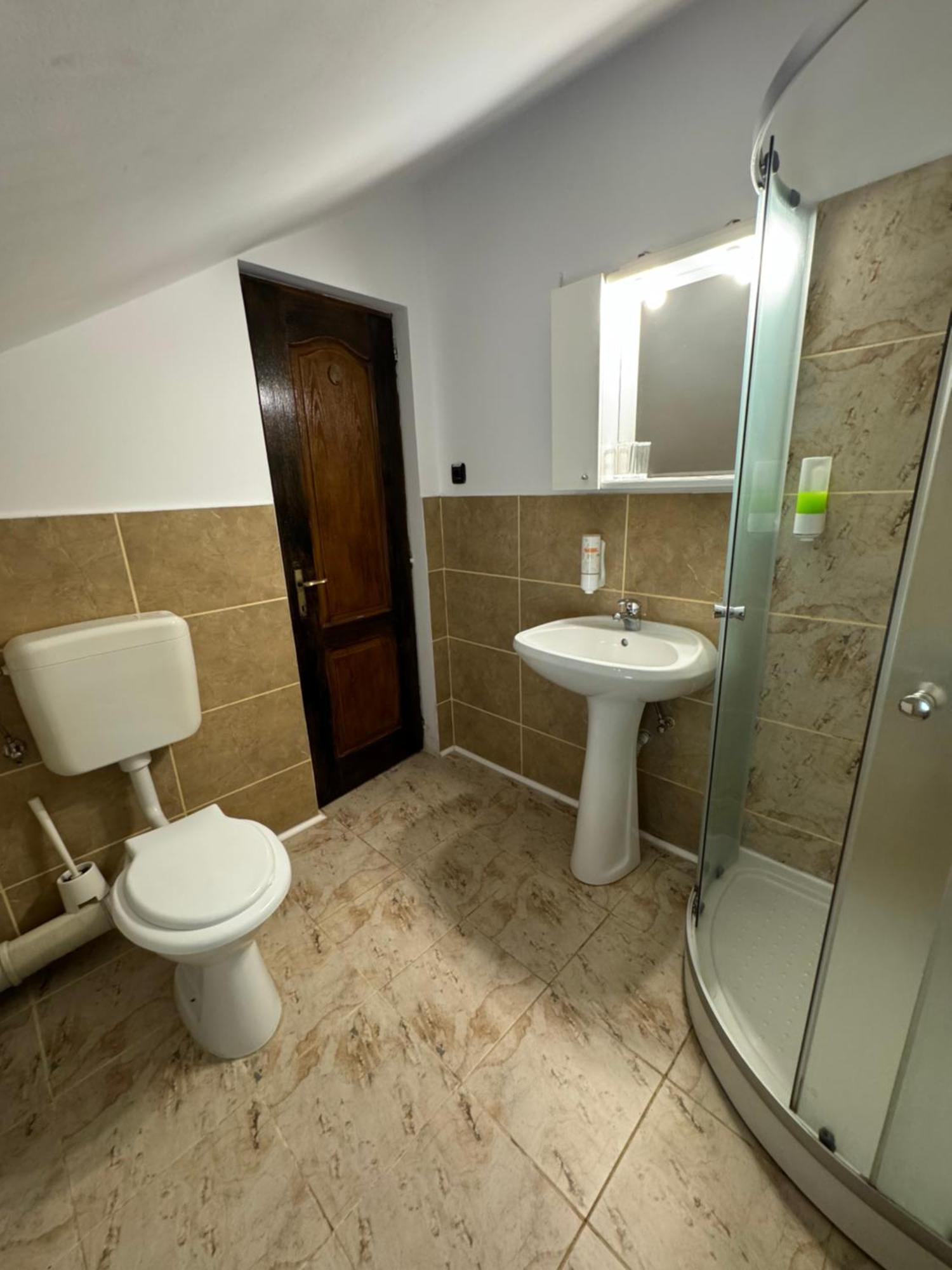 Casa David Hotel Busteni Luaran gambar