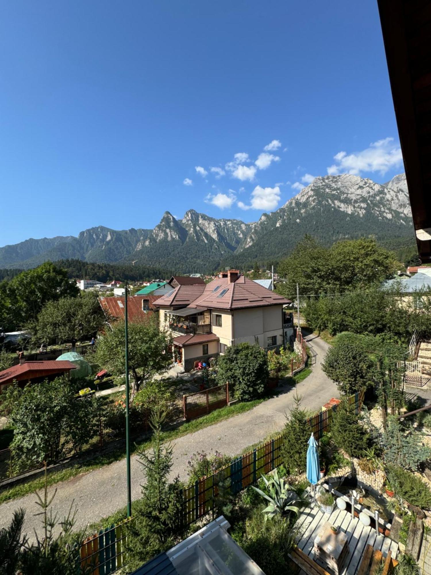 Casa David Hotel Busteni Luaran gambar