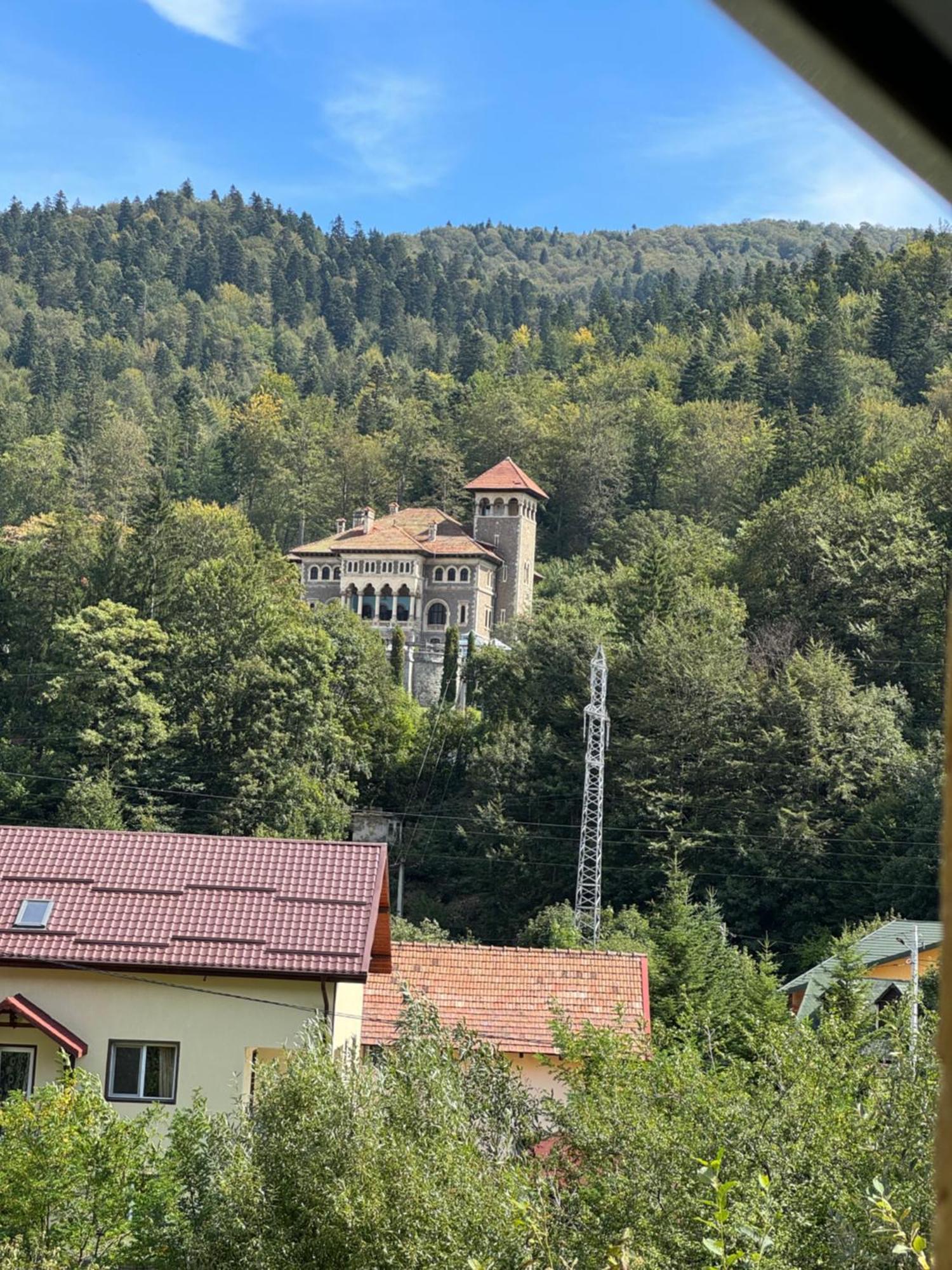 Casa David Hotel Busteni Luaran gambar