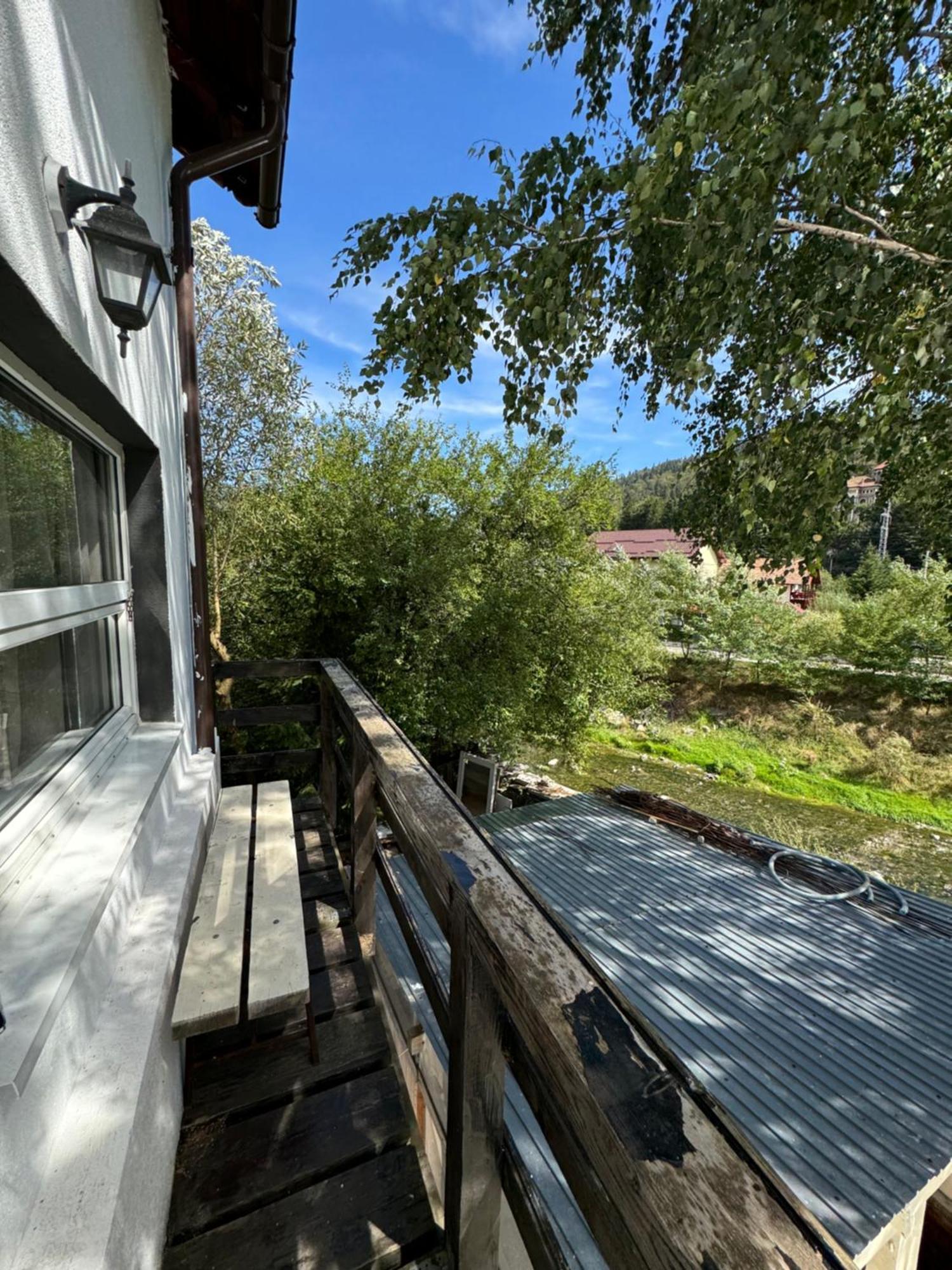 Casa David Hotel Busteni Luaran gambar