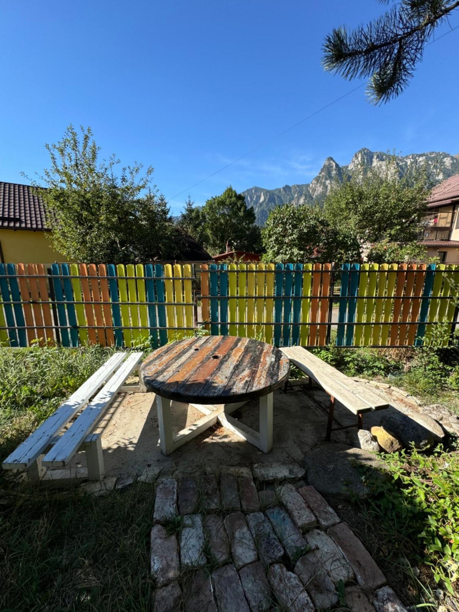 Casa David Hotel Busteni Luaran gambar