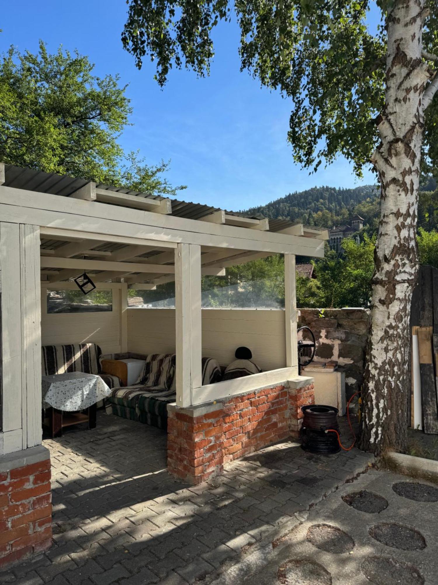 Casa David Hotel Busteni Luaran gambar