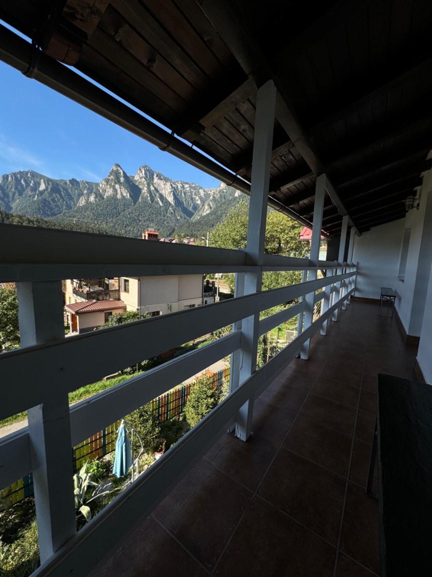 Casa David Hotel Busteni Luaran gambar